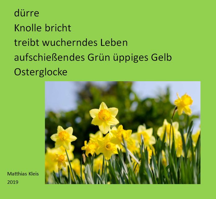 Osterglocke